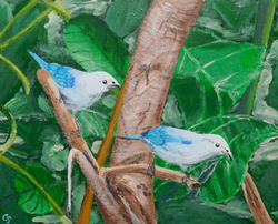 Painting: Blue-grey Tanager